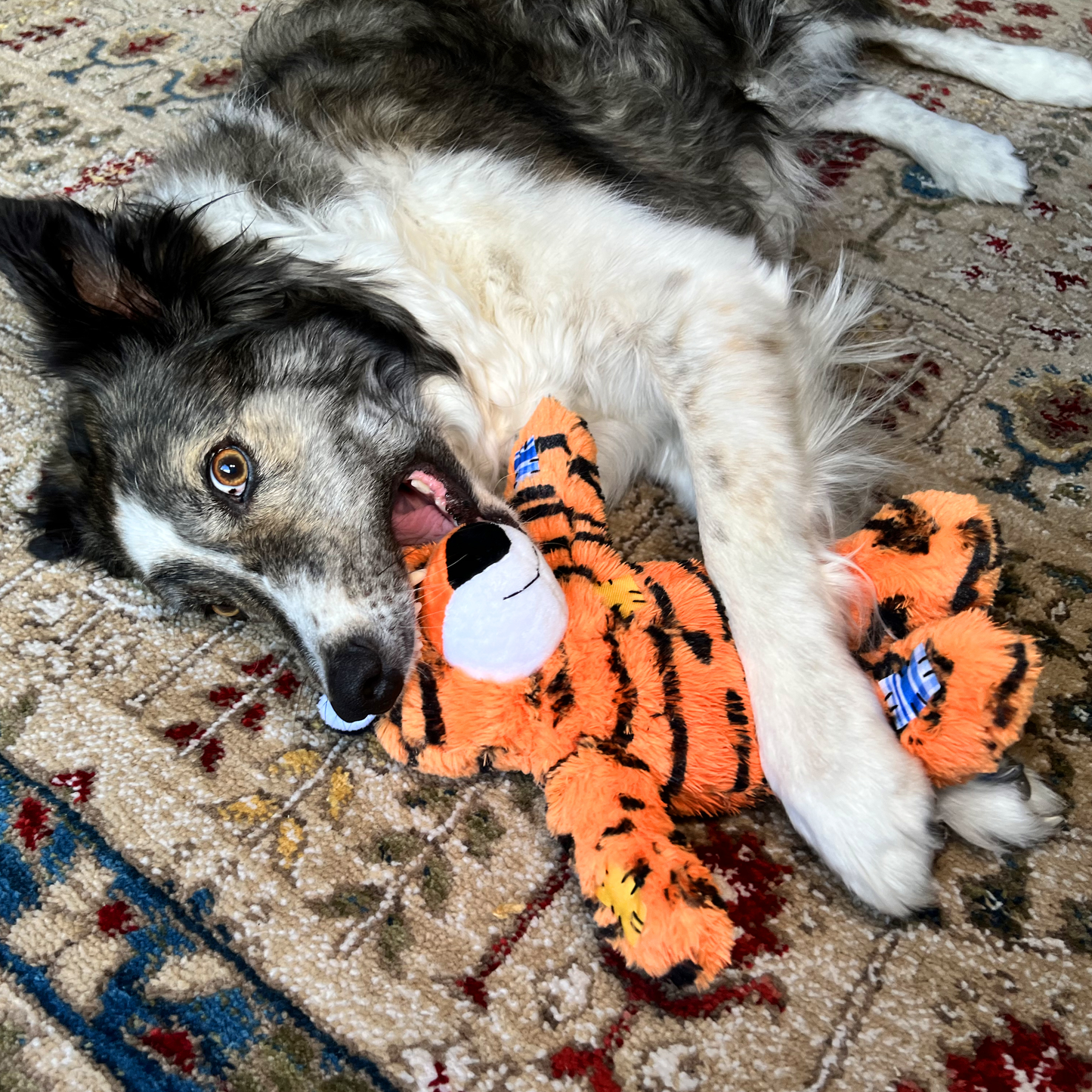 Dog playing with a tiger-striped dog toy on a patterned carpet