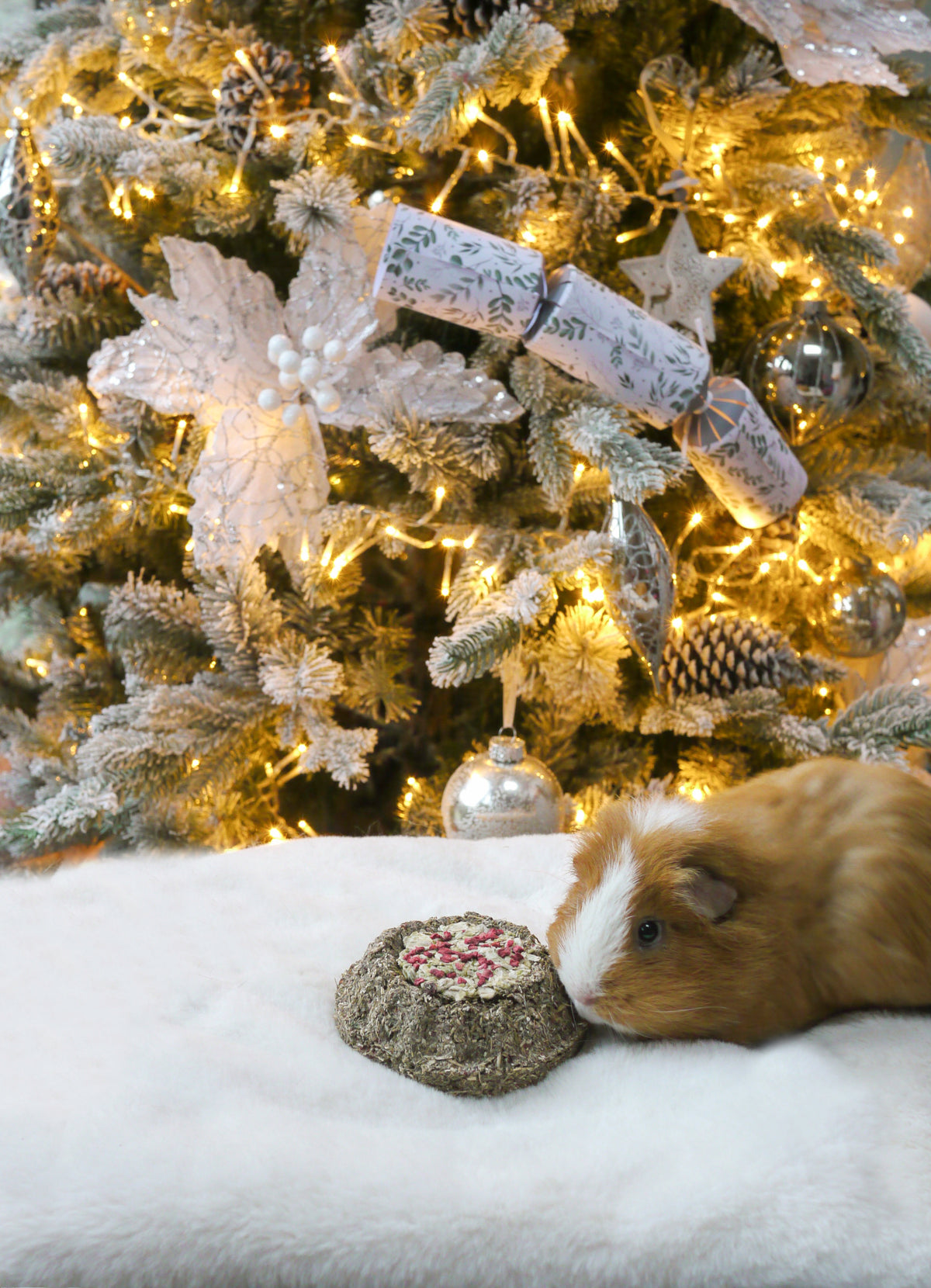Naturals Herb 'n' Hay Party Gateau 🎄 Small Pet Christmas Treat by Rosewood