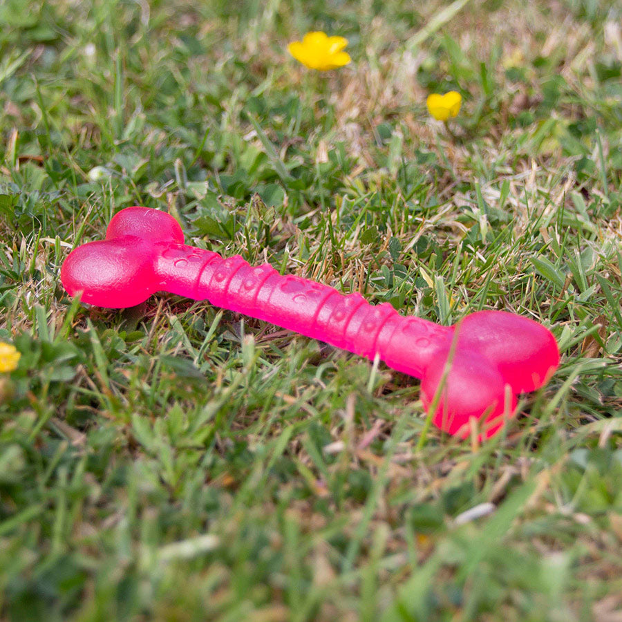 BioSafe | Antimicrobial Puppy Bone Dog Toy