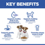 Hill's Science Plan Mini Puppy Chicken 🐔 Small Breed Dry Dog Food