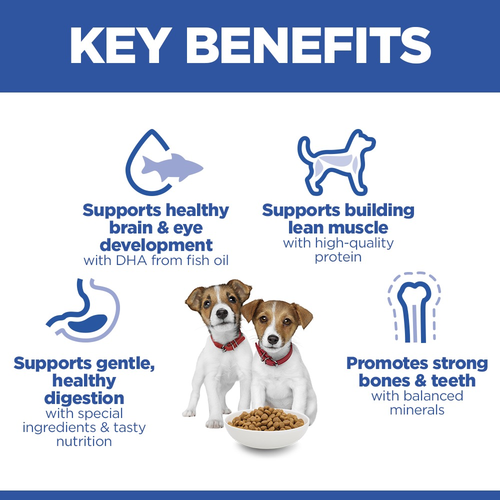Hill's Science Plan Mini Puppy Chicken 🐔 Small Breed Dry Dog Food