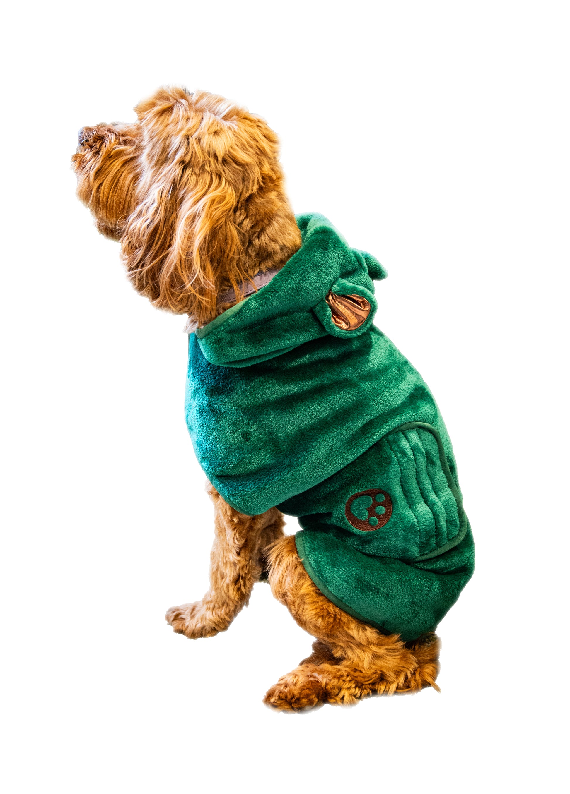 Dog green teddy bear drying robe towel
