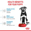Royal Canin Maxi Puppy 🐕 Size Health Nutrition Dry Food for Large Dogs