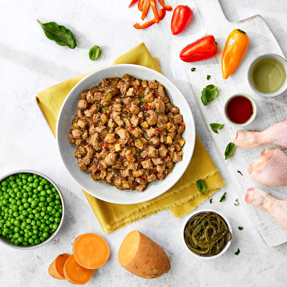 Naturo Chicken in Herb Gravy Grain Free Wet Dog Food Tin 390g