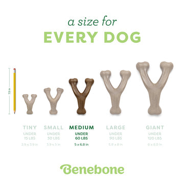 Benebone Bacon Infused Wishbone | Durable Dog Chew Toy