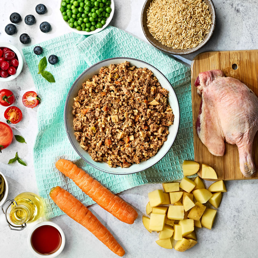 Naturo Duck with Rice & Vegetables Gluten Free Wet Dog Food Tray 400g