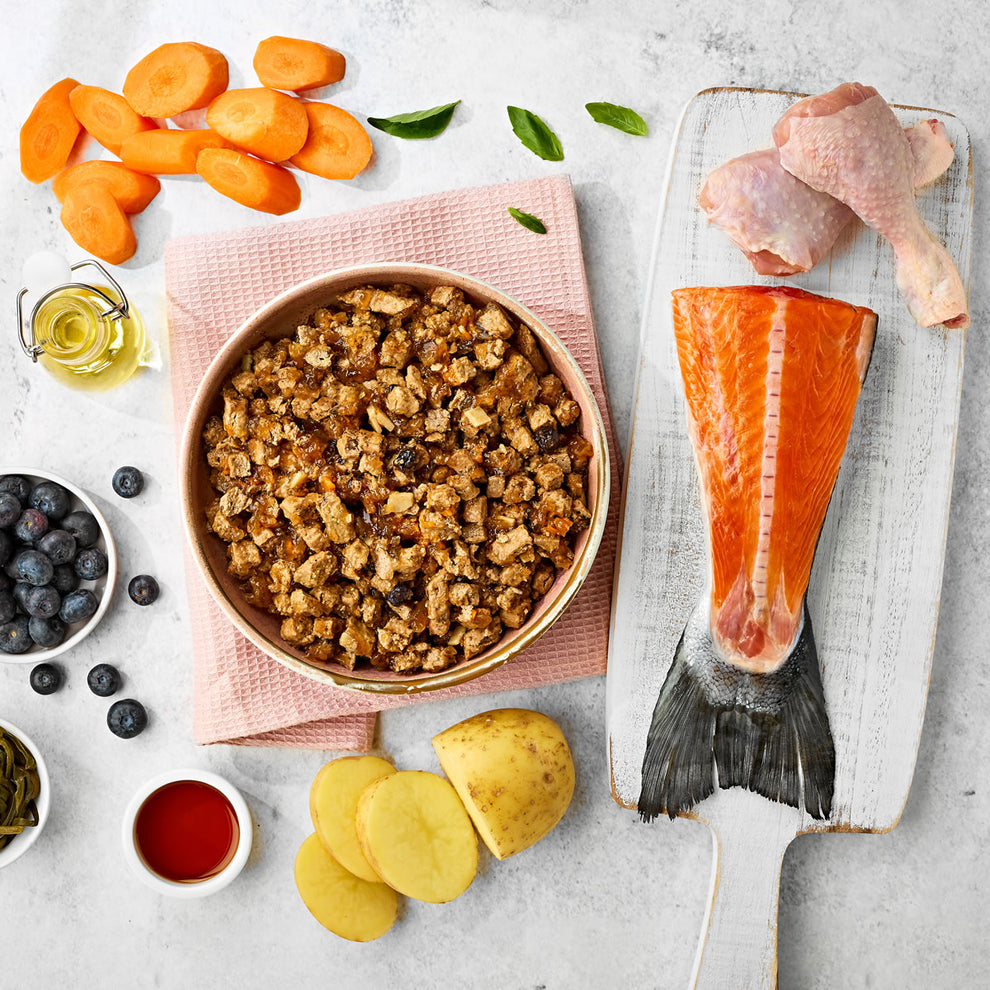 Naturo Salmon with Chicken in Herb Jelly Grain Free Wet Dog Food Tin 390g