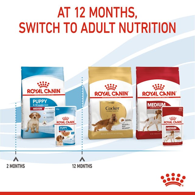 Royal Canin Medium Puppy 🐕 Size Health Nutrition Wet Dog Food