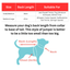 Dog size chart with measurements and suggested breeds for small, medium, and large sizes.