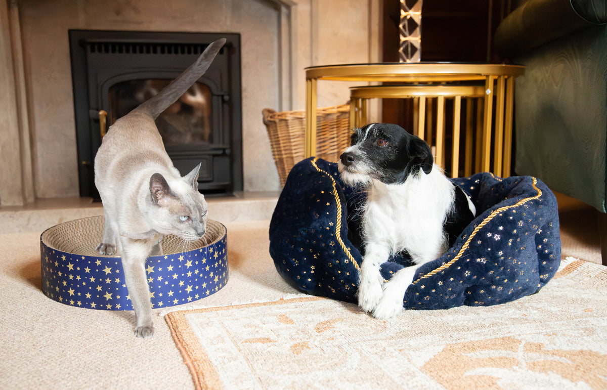 Navy Sparkle Dog Bed 🎄 Christmas Comfort by Cupid & Comet