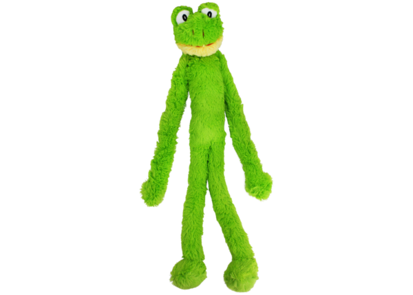 Green plush dog toy frog on a white background