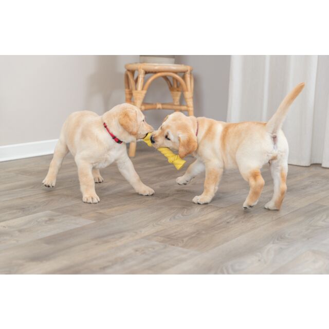 Trixie | Junior Rustling Rope | Latex Puppy Toy