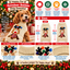 A festive knitted dog sweater shown on a golden retriever dog, with a large product infographic layout. The sweater is cream/beige with red and green holiday details, including a reindeer face and colorful pom-pom bobbles.