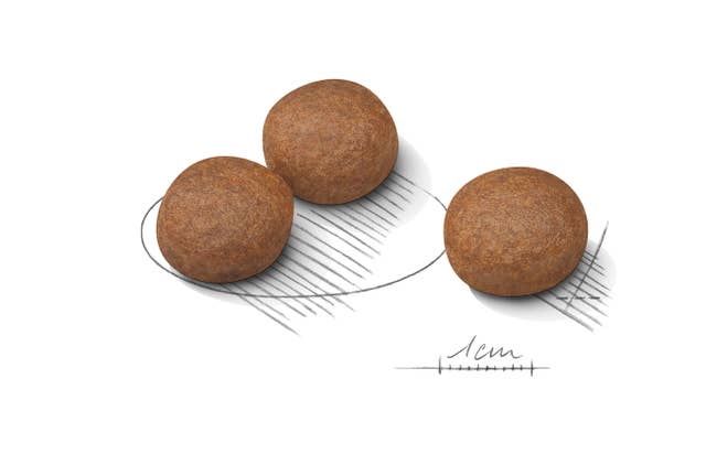 Royal Canin Medium Digestive 🐕 Size Health Nutrition Dry Dog Food