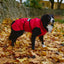 Danish Design 3-in-1 Dog Coat - Red | Versatile All Weather Protection for Every Season