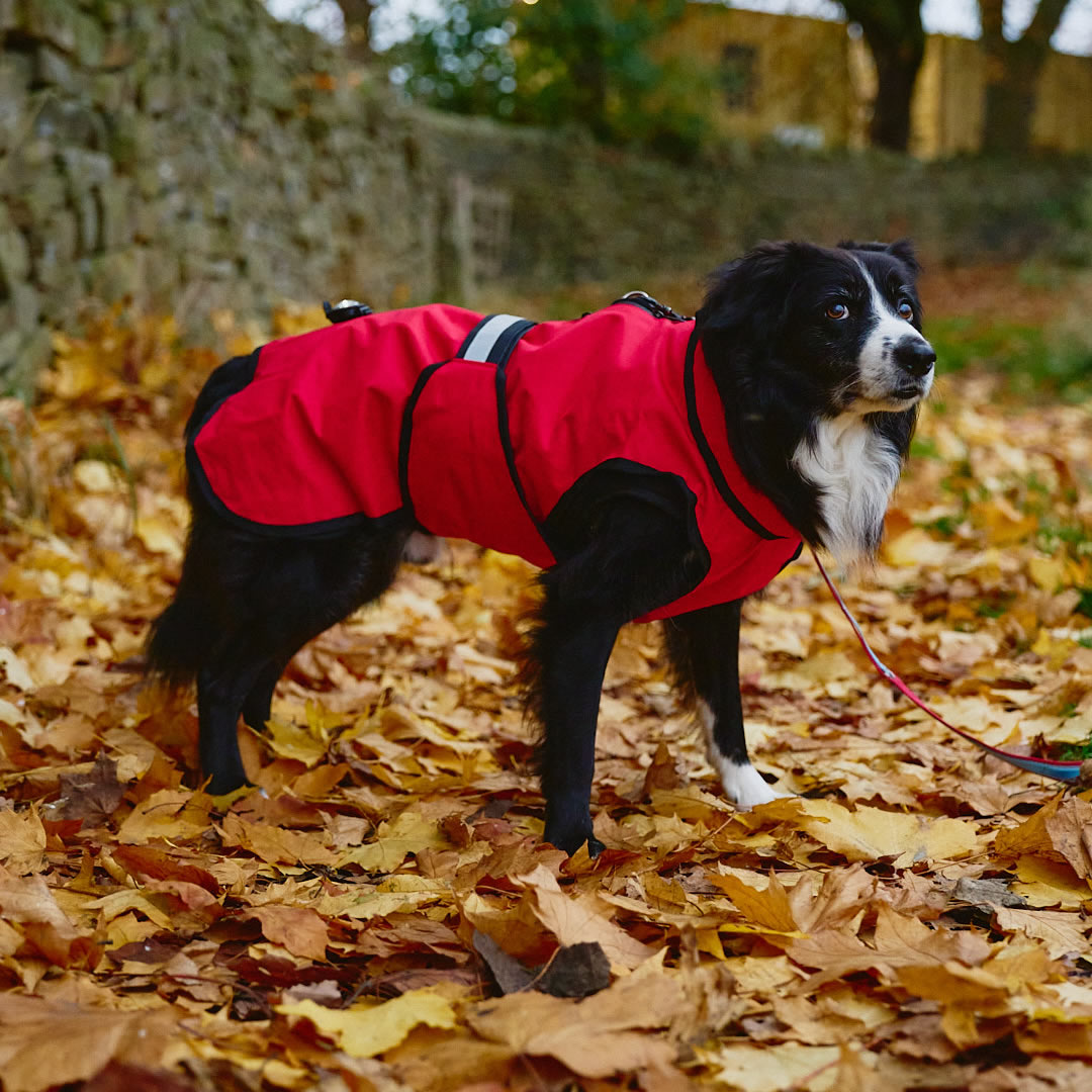 Danish Design 3-in-1 Dog Coat - Red | Versatile All Weather Protection for Every Season