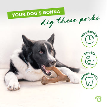 Benebone Bacon Infused Wishbone | Durable Dog Chew Toy