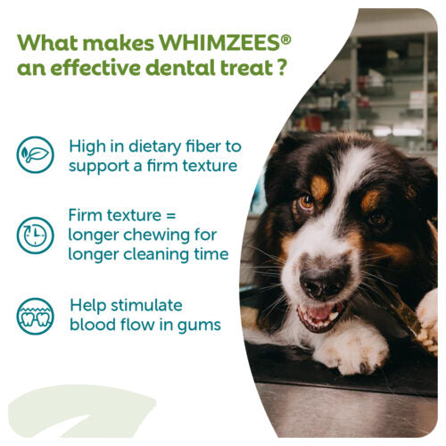 Whimzees Stix Natural Veggie Dental Chew for Dogs