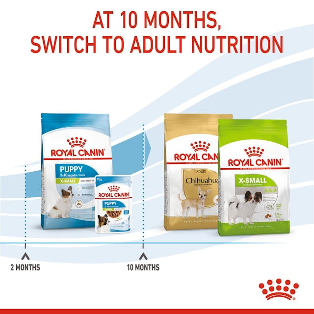 Royal Canin X-Small Puppy 🐕 Size Health Nutrition Dry Food for Tiny Dogs