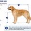 Petmode Aviation Carrier ✈️ IATA-Compliant Travel Kennels for Dogs & Cats