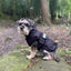 Danish Design 3-in-1 Dog Coat - Black | Versatile All Weather Protection for Every Season