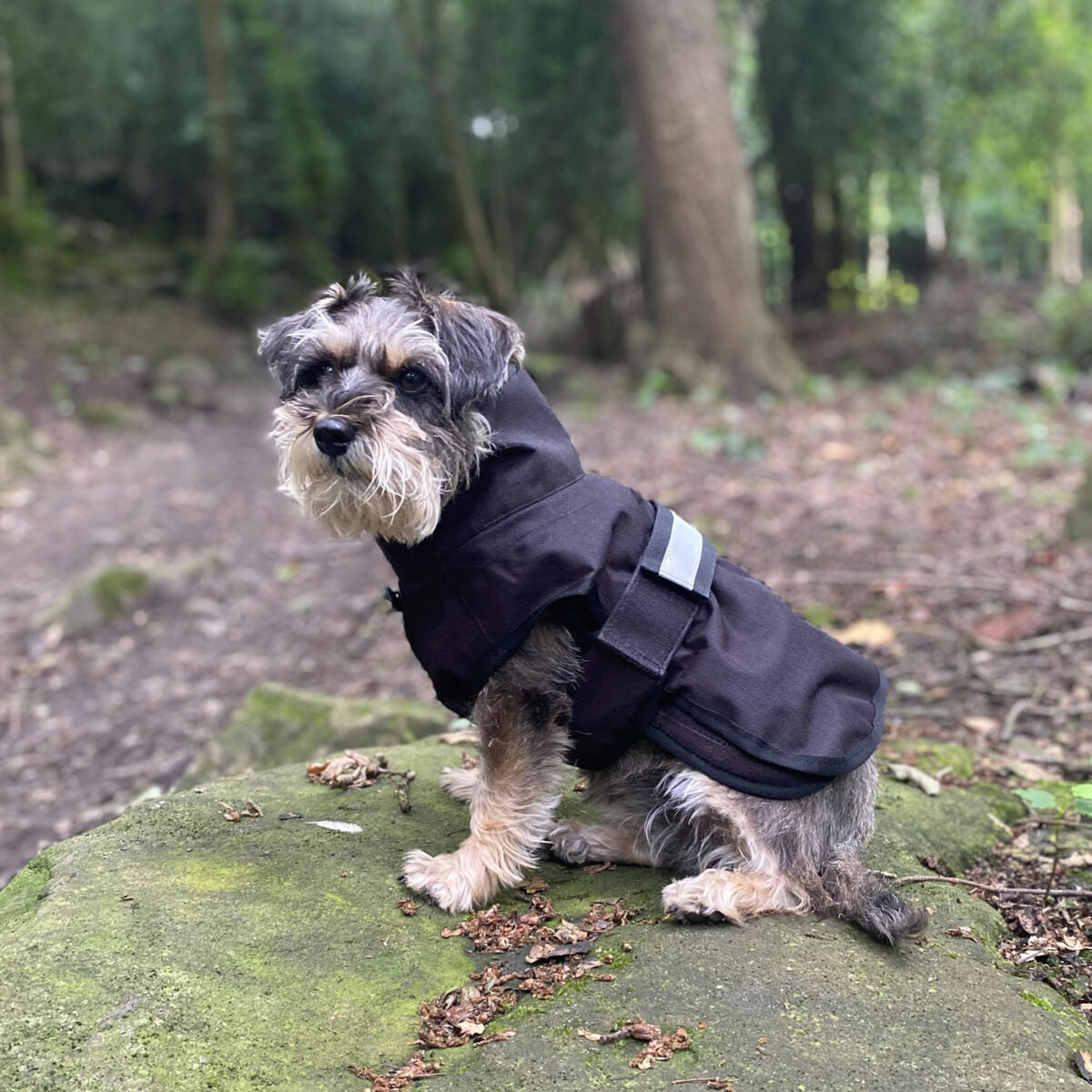Danish Design 3-in-1 Dog Coat - Black | Versatile All Weather Protection for Every Season