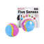 Ruff 'n' Tumble | Five Senses Sensory Ball Toy | Beef Scented for Blind Dogs & Scent Training