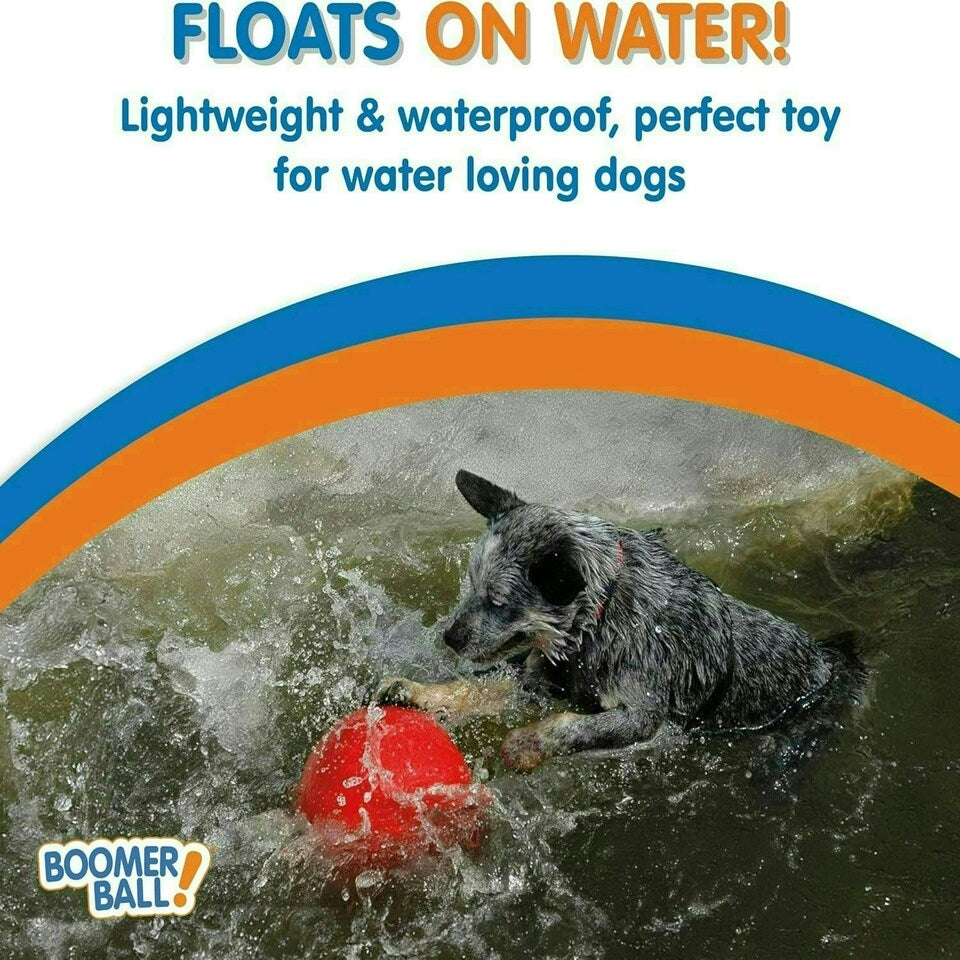 Dog playing with a red ball in water, with promotional text about a floating toy for dogs.