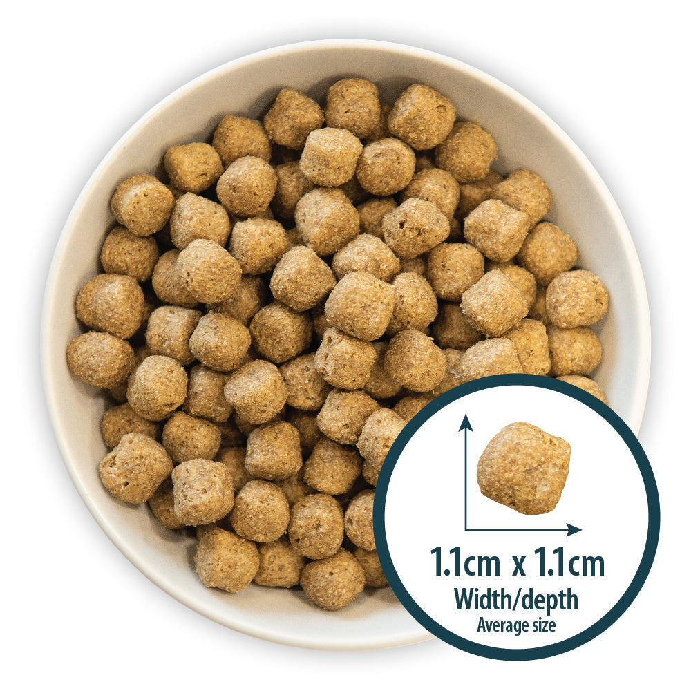 Burns Sensitive Adult Duck & Brown Rice 🦆 Holistic Gluten Free Dry Dog Food