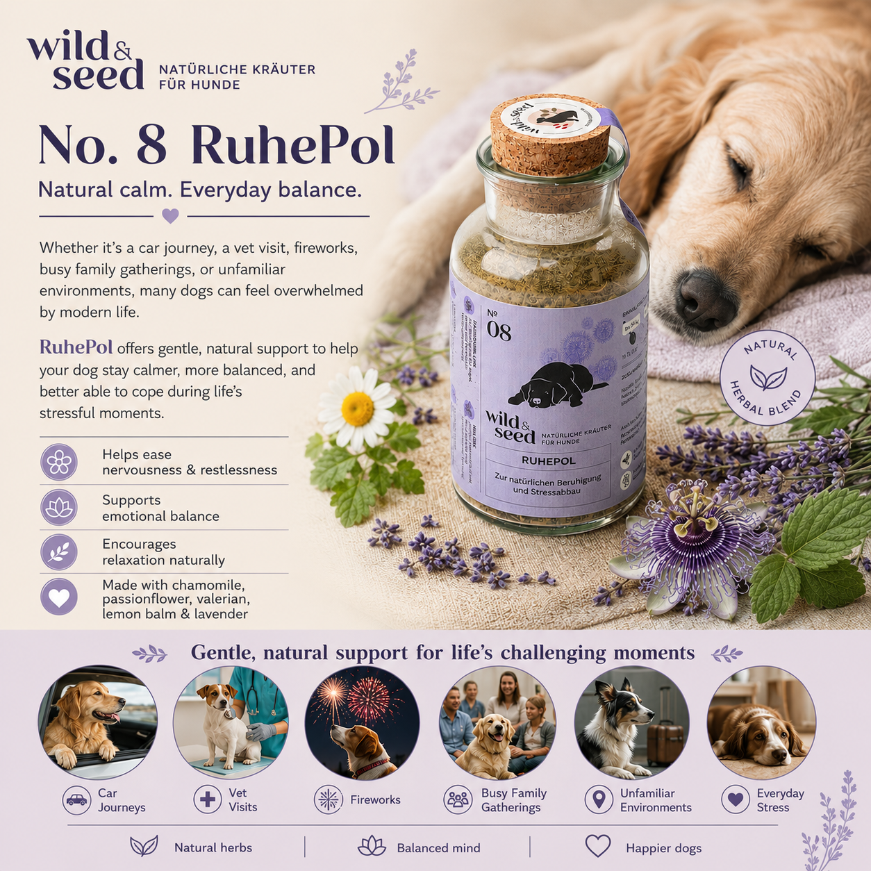 Wild&Seed Herbs No. 8 RuhePol | Natural Calming Herbal Blend for Nervous, Restless & Sensitive Dogs