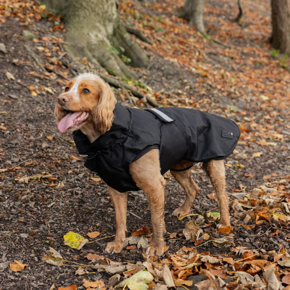 Danish Design 3-in-1 Dog Coat - Black | Versatile All Weather Protection for Every Season