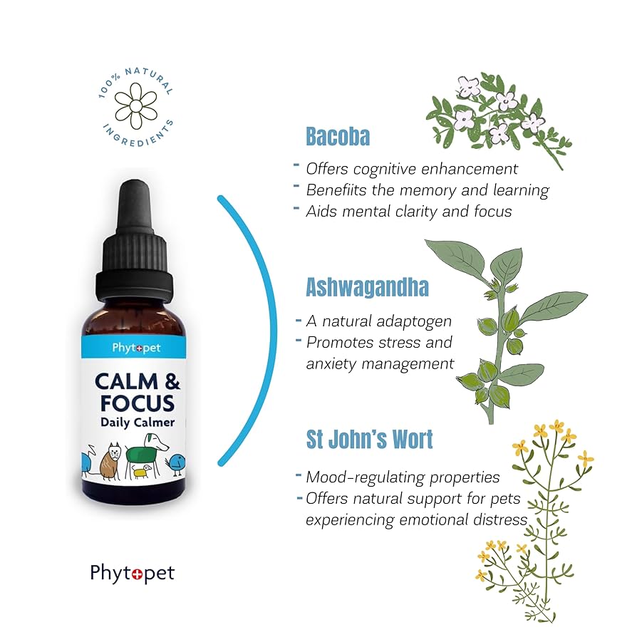 PhytoPet | Calm & Focus for Mental Clarity & Emotional Balance