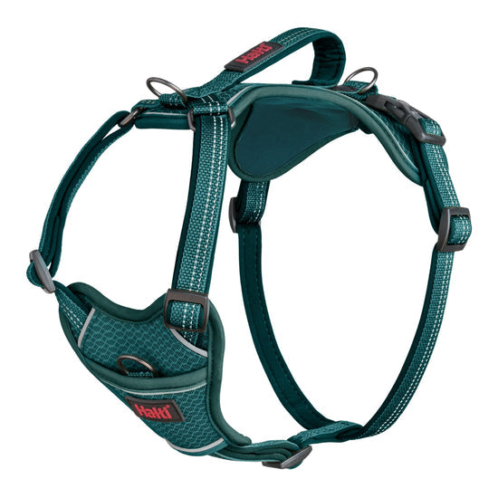 Halti Anatomy Harness | Comfortable Dog Walking & Training