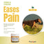 PhytoPet | Arnica Cream for Bruising & Muscle Injuries