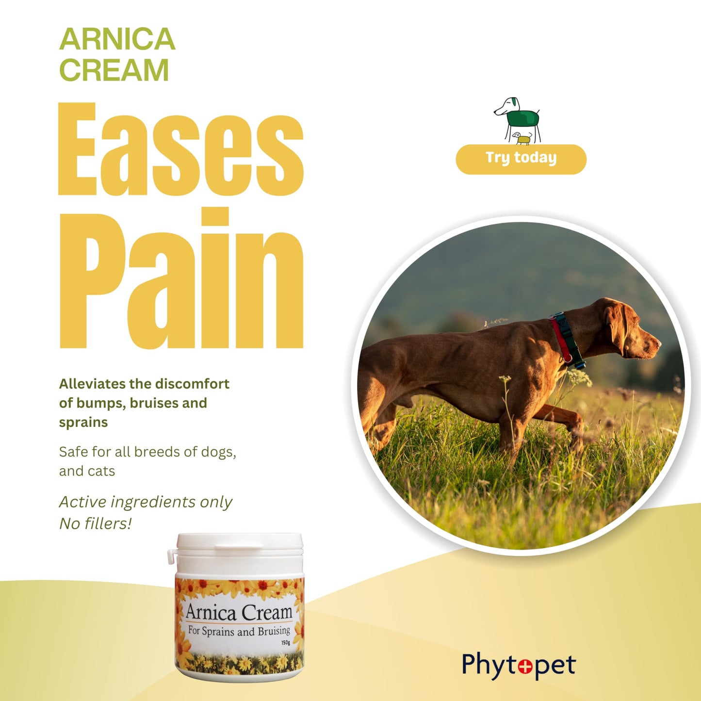 PhytoPet | Arnica Cream for Bruising & Muscle Injuries