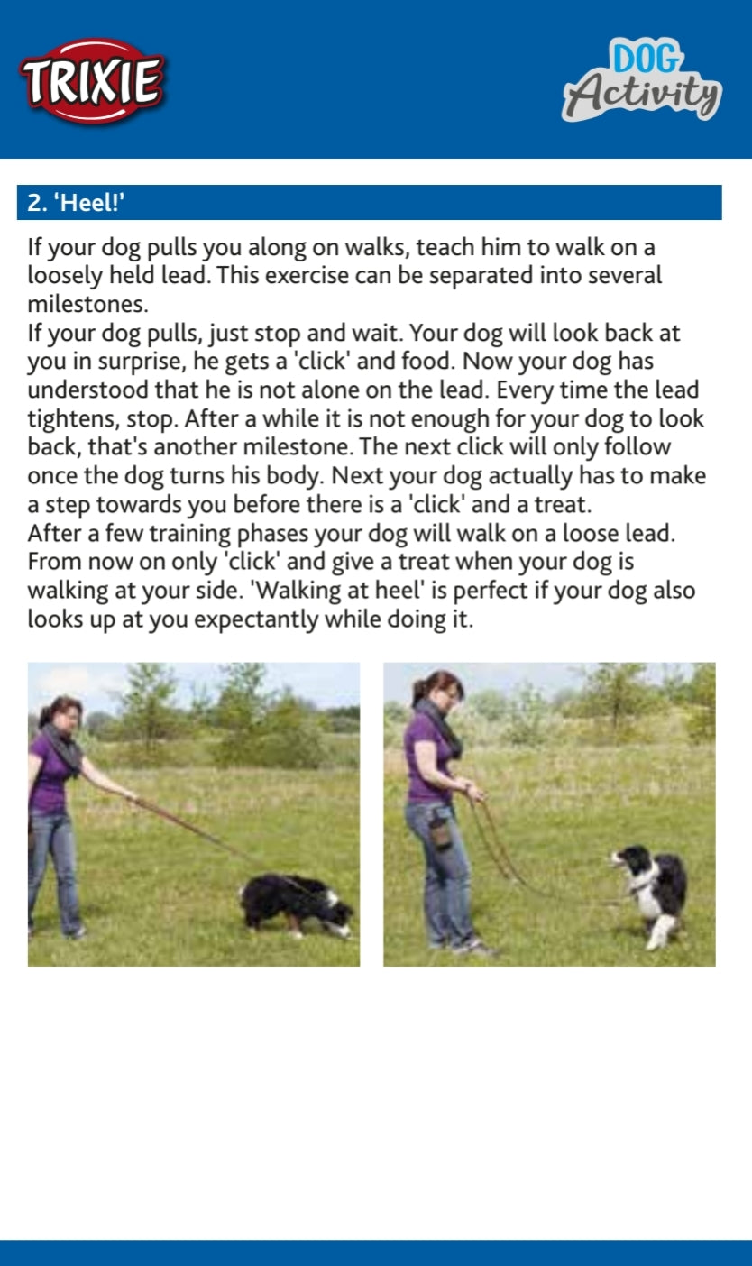 Trixie | Dog Activity | Training Touch Target Stick