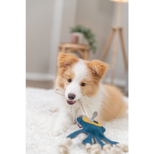 Trixie Leather Monster on Rope | Eco Dog Toy
