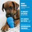 Dog holding a blue KONG rubber toy with promotional text on a white background