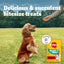 Pedigree Tasty Minis Chewy Slices with Beef Dog Treats (155g)