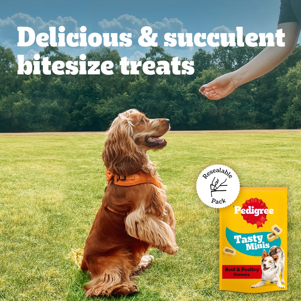 Pedigree Tasty Minis Chewy Slices with Beef Dog Treats (155g)