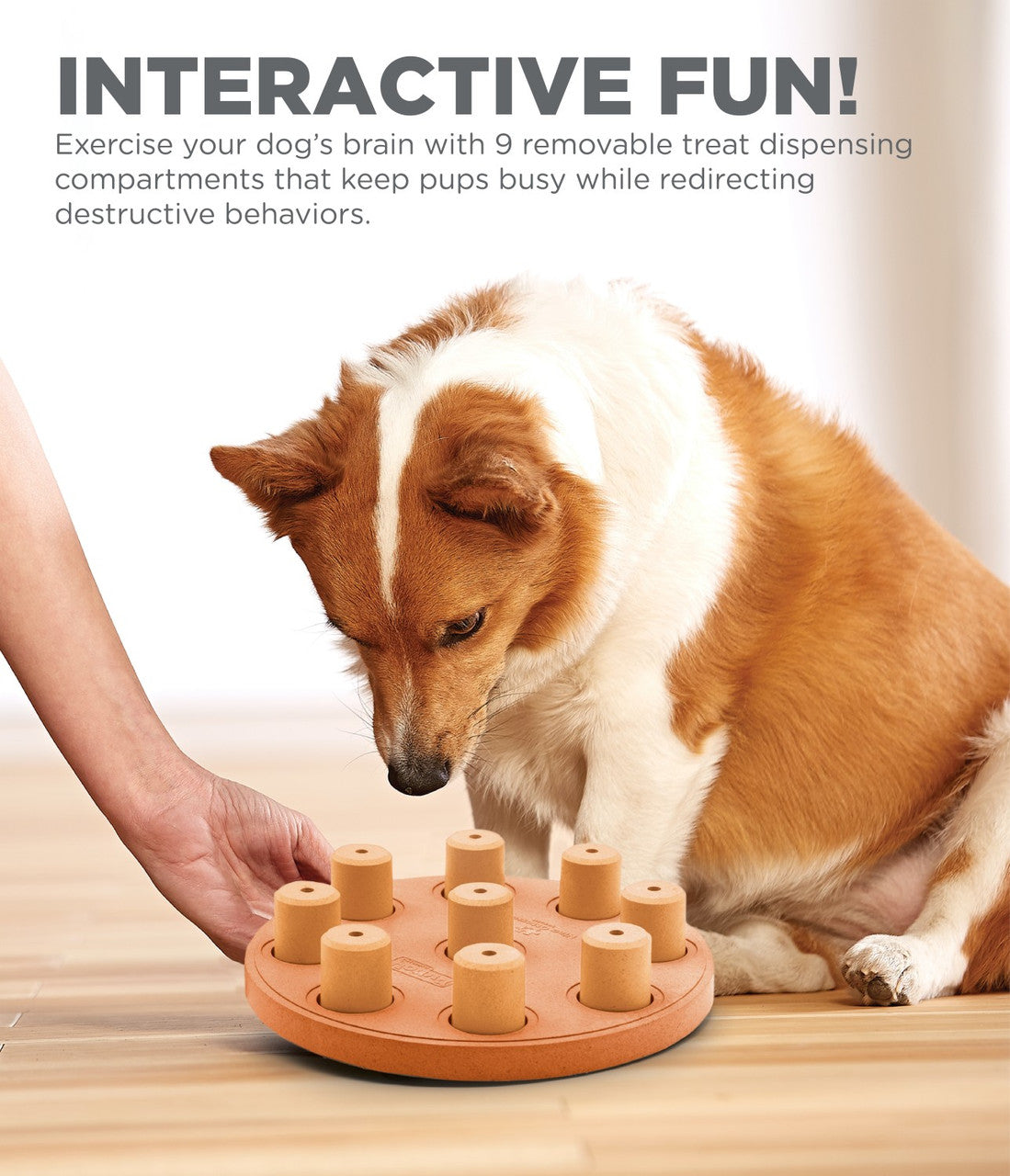 Dog interacting with a wooden puzzle toy designed to keep dogs busy and redirect destructive behaviors.