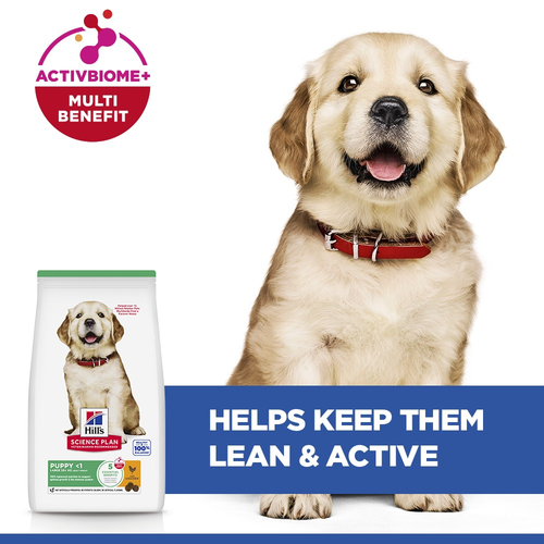 Hill's Science Plan Puppy Chicken 🐔 Large Breed Dry Dog Food