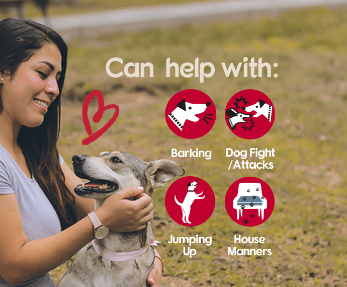 Pet Corrector | Dog Training | Behavioural Modification Spray