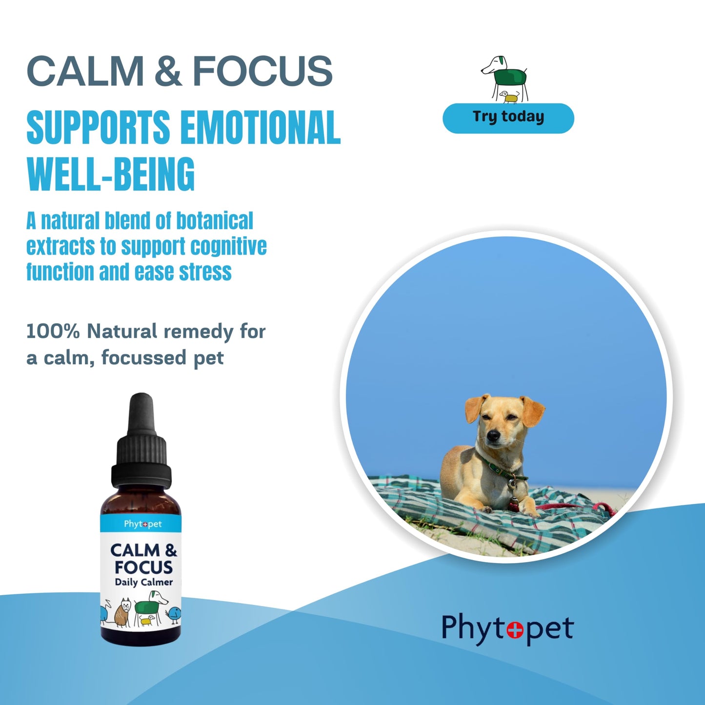 PhytoPet | Calm & Focus for Mental Clarity & Emotional Balance