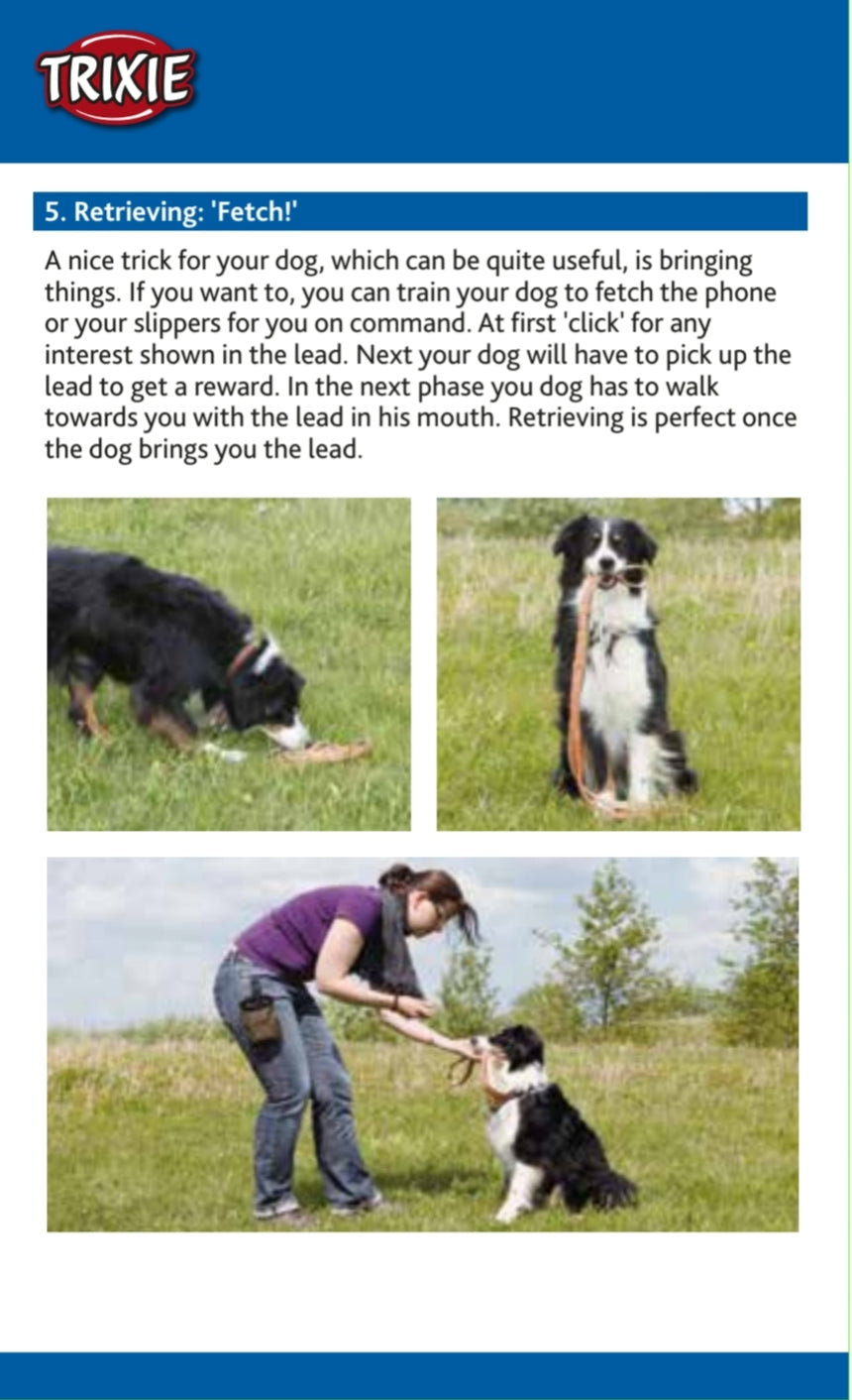 Trixie | Dog Activity | Training Touch Target Stick