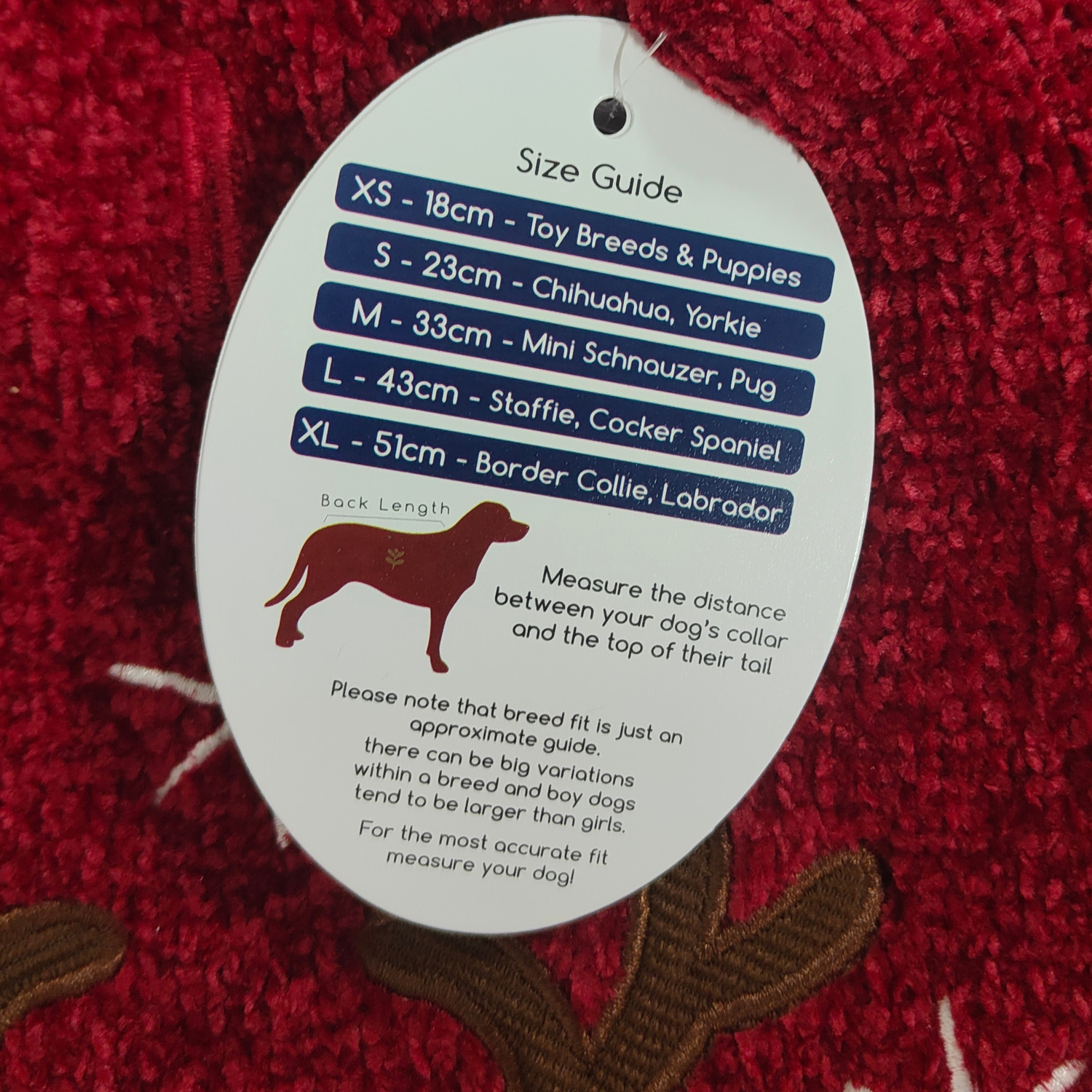 Size guide for dog collars on a red textured background
