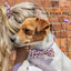 Ancol | Soho Collection | Nylon Adjustable Dog Collar | Dalmatian Spotted Pattern