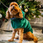 Dog green teddy bear drying robe towel