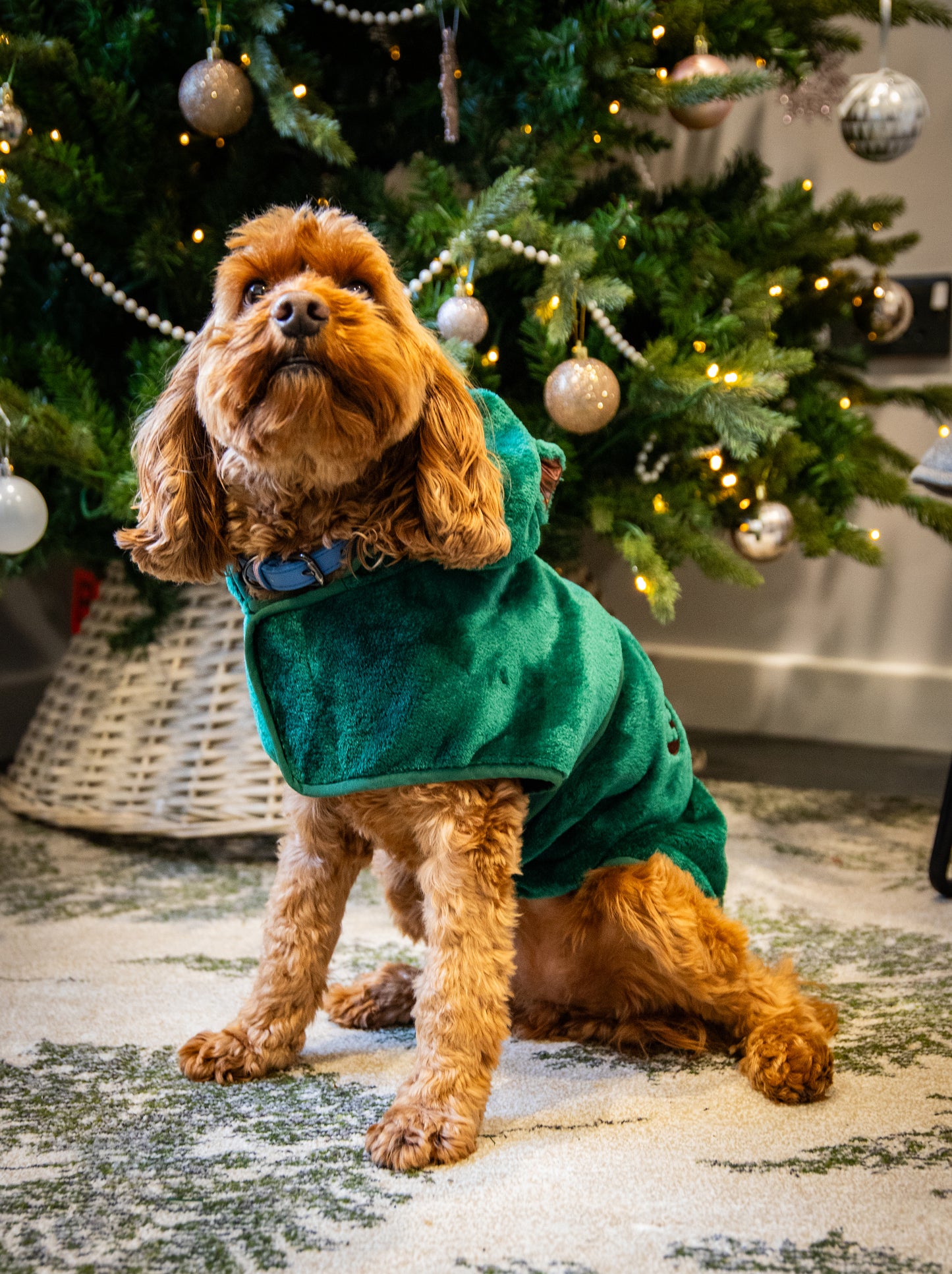 Dog green teddy bear drying robe towel