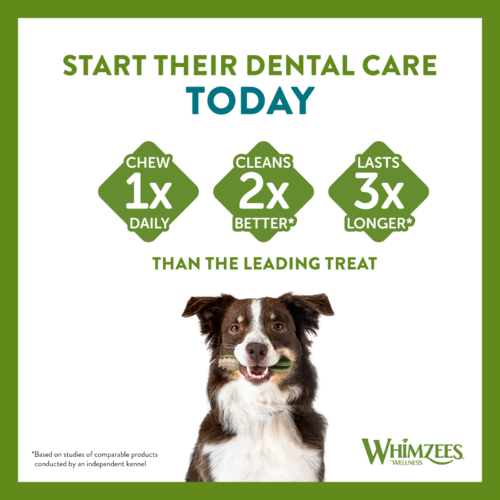 Whimzees Veggie Ear 🌾 Natural Dental Chew for Dogs